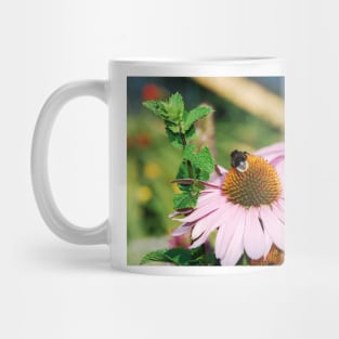 Echinacea Purpurea with Bee Mug